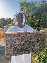 Woman holds beehive