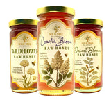 Raw Honey Trio by Wild Tree Bee Company