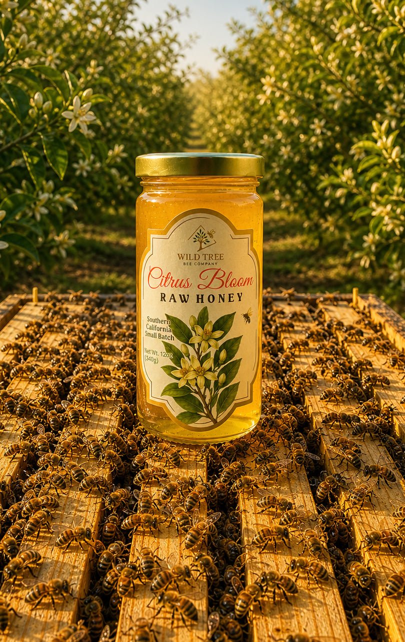 Citrus Bloom Raw Honey - SPRING 2026 MICRO HARVEST - Southern California Citrus Bloom - 12oz - Wild Tree Bee Company