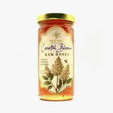 Coastal Bloom Honey — Raw Honey From Southern California Coastal Mountains - 12oz - Wild Tree Bee Company