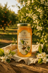Orange Bloom Honey - Raw, Unfiltered, Central California Orange Blossom Honey - 12oz - Wild Tree Bee Company