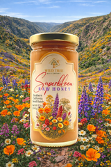 Super Bloom Honey - Raw Honey From Southern California Foothills - 12oz - Limited Harvest - Wild Tree Bee Company