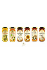 The California Collection - Raw Honey Bundle - Six 12 oz Jars - Wild Tree Bee Company