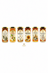 The California Collection - Raw Honey Bundle - Six 12 oz Jars - Wild Tree Bee Company